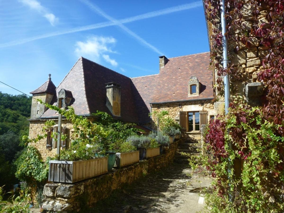 Domaine De Cantegrel - Gites De Charme Et Suite Troglodyte En Perigord Vitrac  Zewnętrze zdjęcie