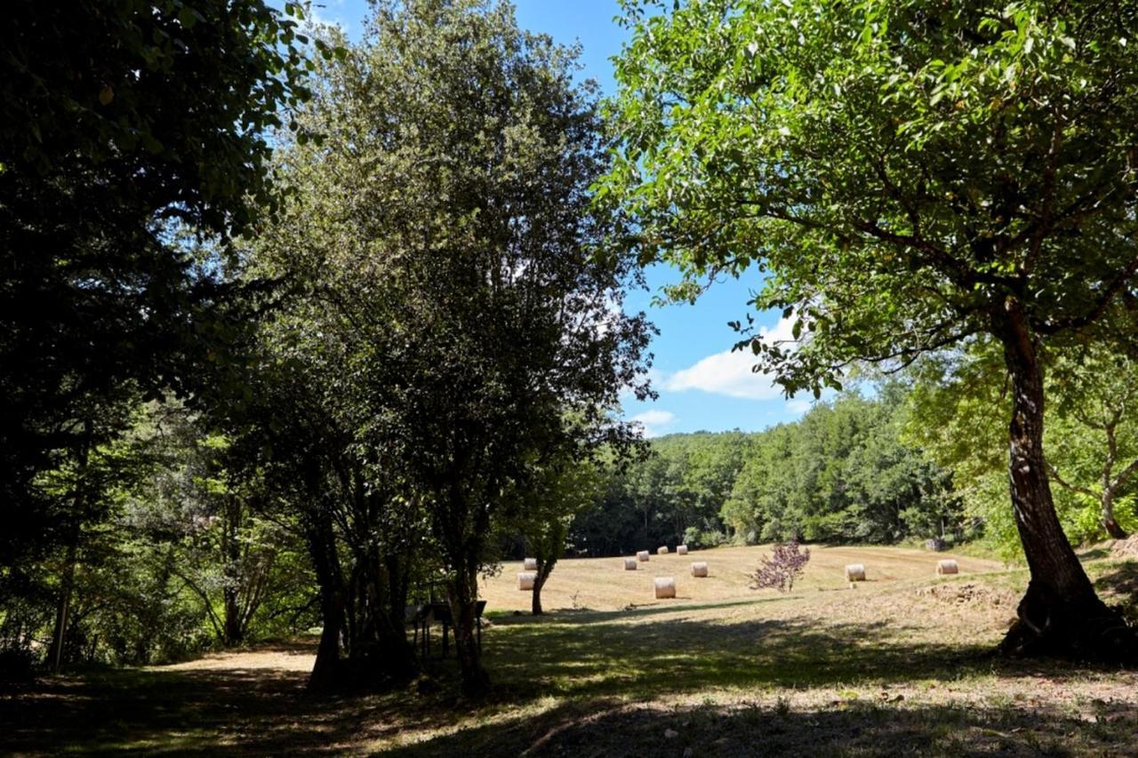 Domaine De Cantegrel - Gites De Charme Et Suite Troglodyte En Perigord Vitrac  Zewnętrze zdjęcie