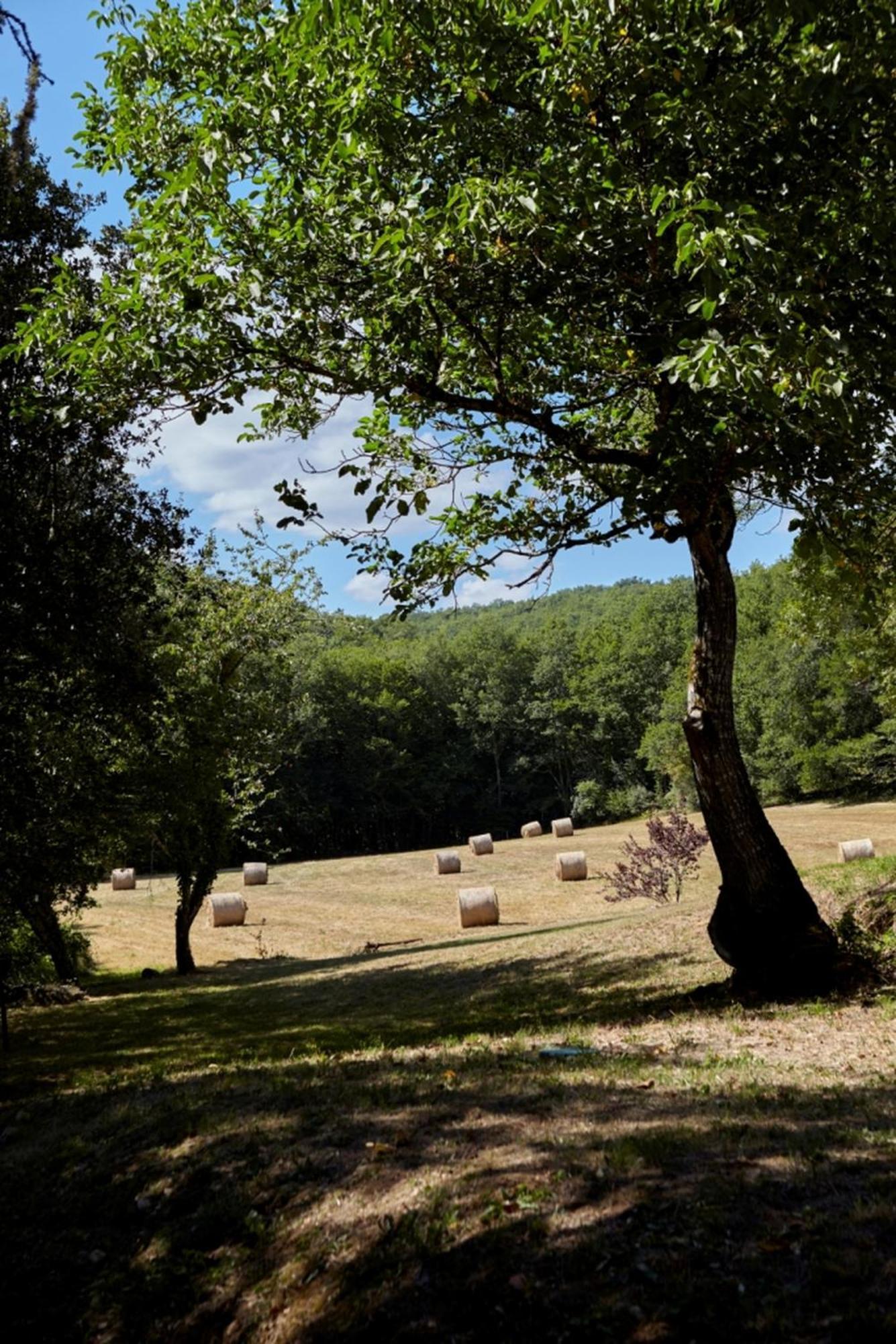 Domaine De Cantegrel - Gites De Charme Et Suite Troglodyte En Perigord Vitrac  Zewnętrze zdjęcie